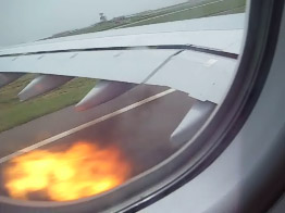 Air Mauritius A330 Bird Strike